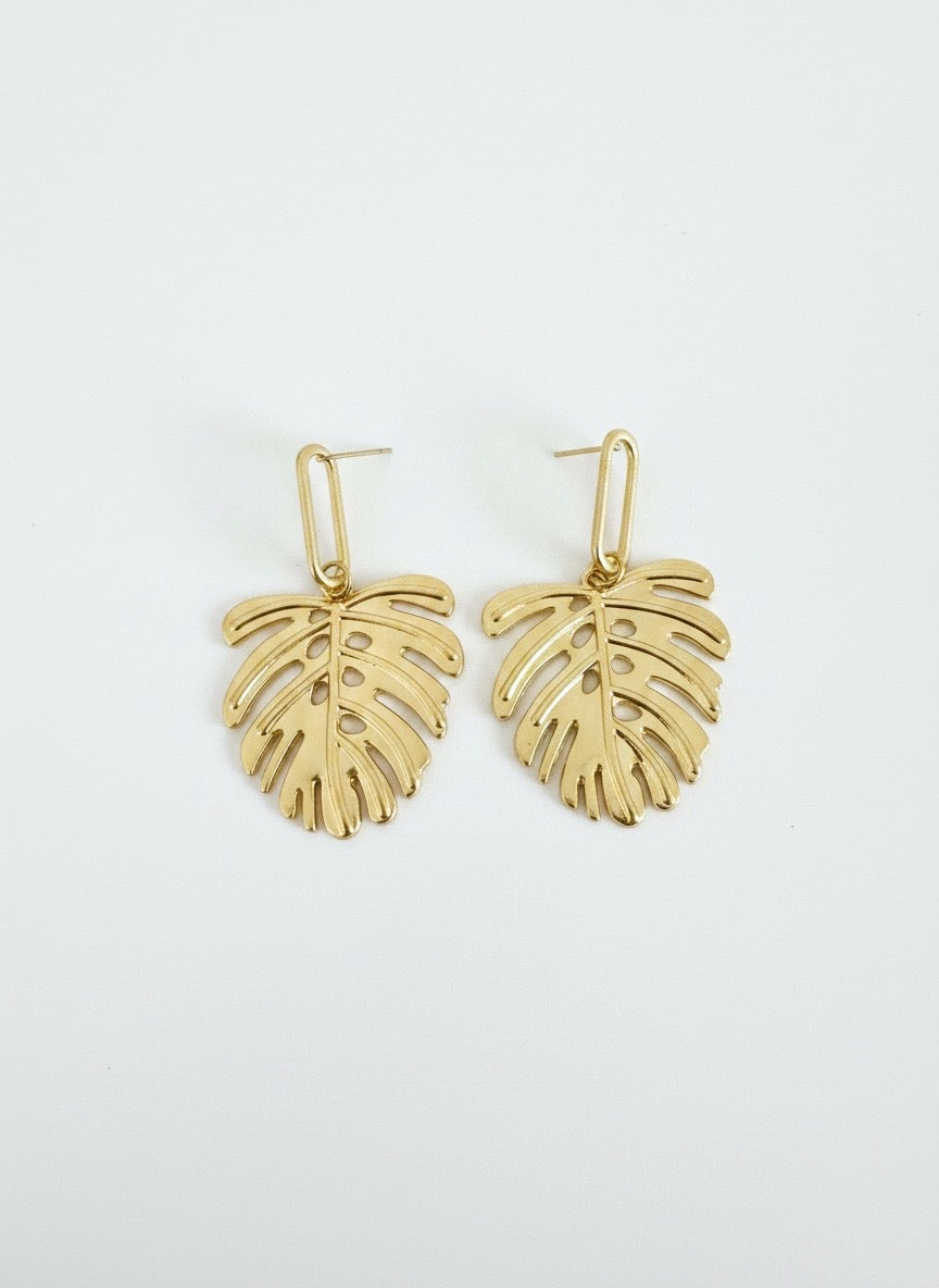 Golden Monstera Leaf Drops