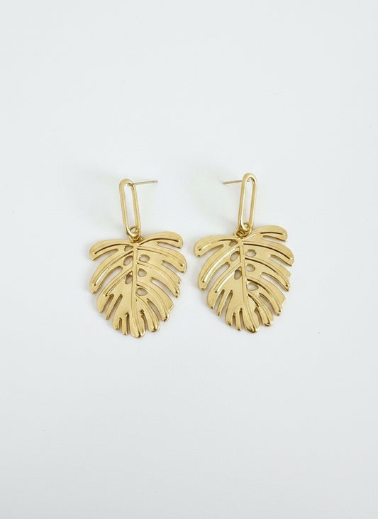 Golden Monstera Leaf Drops